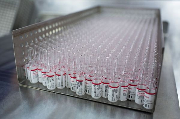 Much-Needed Cure for COVID-19: Vaccine Production Process Much-Needed Cure for COVID-19: Vaccine Production Process - Sputnik International