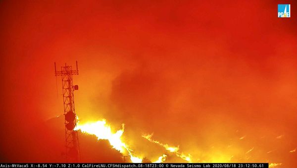 Flames from the Hennessey Fire rage in the last image from a tower-mounted camera before it and another went offline, after they melted in the heat according to AlertWildfire, on Atlas Peak northwest of Vacaville, California, U.S. August 18, 2020. Picture taken August 18, 2020.   www.alertwildfire.org/Handout via REUTERS.  NO RESALES. NO ARCHIVES. THIS IMAGE HAS BEEN SUPPLIED BY A THIRD PARTY. - Sputnik International