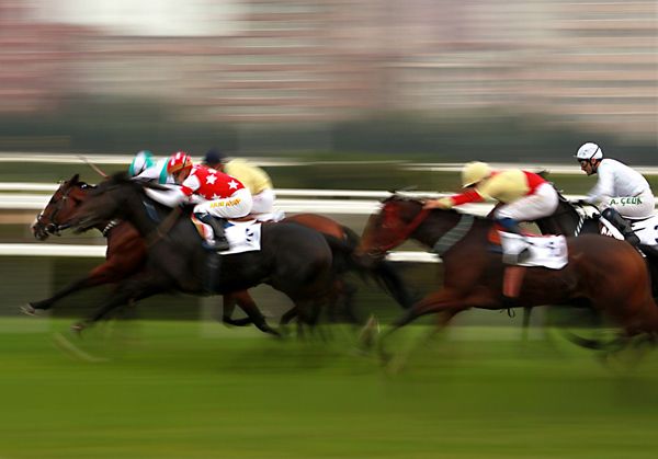 The Sputnik Intelligent Punter's Guide To Champions Day & Football Predictions - Sputnik International
