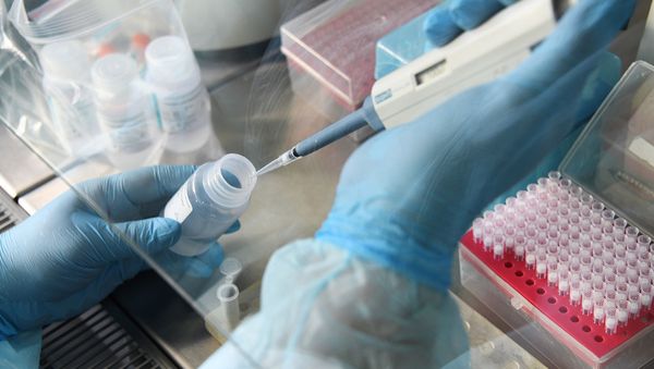 State Scientific Center of Virology and Biotechnology Vector - Sputnik International