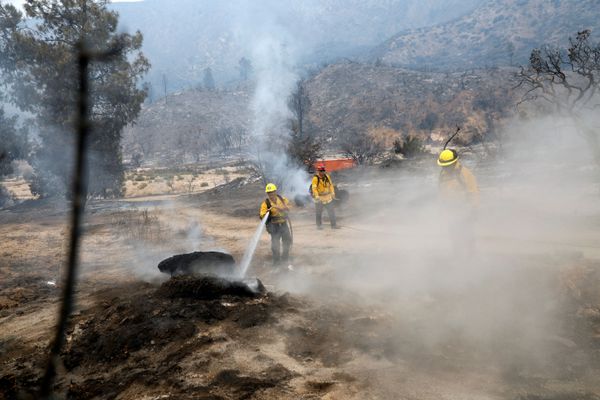California Governor Asks Australia and Canada for Help Amid Raging Wildfires - Sputnik International