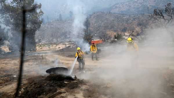 Firefighters extinguish hot spots as a fast-moving wildfire, called the Lake Fire, burns in a mountainous area of Angeles National Forest north of Los Angeles, California, U.S. August 13, 2020.  - Sputnik International