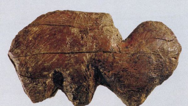 Mammoth tusk found in Siberia in 2020 - Sputnik International
