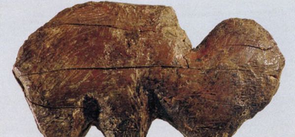Mammoth tusk found in Siberia in 2020 Mammoth tusk found in Siberia in 2020 - Sputnik International