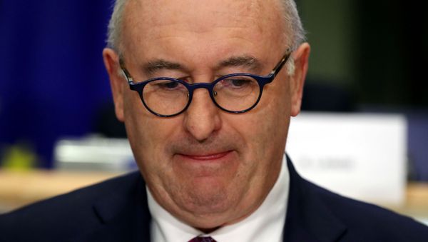 European Trade Commissioner-designate Phil Hogan of Ireland attends his hearing before the European Parliament in Brussels, Belgium September 30, 2019 - Sputnik International