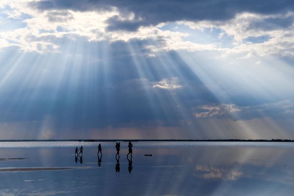 Land of Thousand Lakes: Unequivocal Beauty of Russia's Altai Krai - Sputnik International