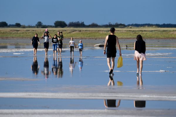 Land of Thousand Lakes: Unequivocal Beauty of Russia's Altai Krai - Sputnik International