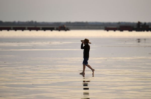 Land of Thousand Lakes: Unequivocal Beauty of Russia's Altai Krai - Sputnik International