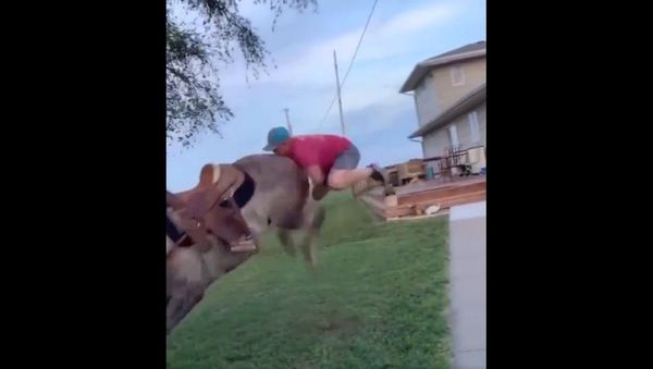 The best horse ride that I had seen - Sputnik International
