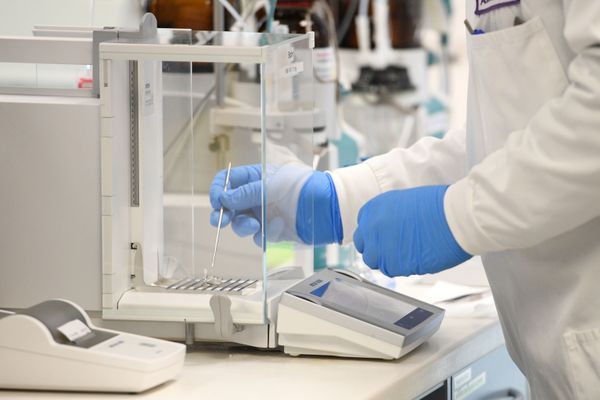 UK to 'Deliberately Infect' Volunteers With Coronavirus to Test Anti-COVID Vaccine UK to 'Deliberately Infect' Volunteers With Coronavirus to Test Anti-COVID Vaccine - Sputnik International