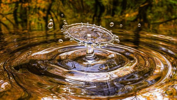 water - Sputnik International