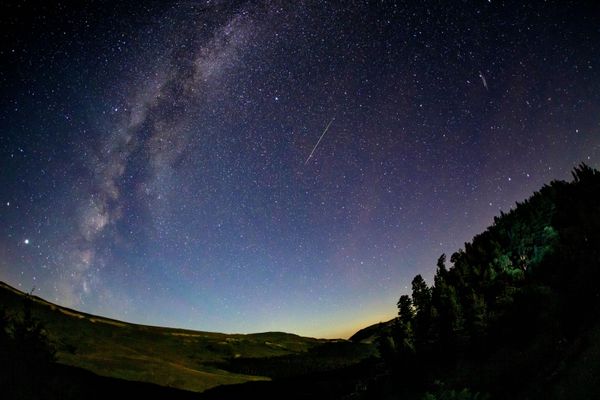 Starlit sky during the Perseid meteor shower observed in Russia's Krasnodar region. Starlit sky during the Perseid meteor shower observed in Russia's Krasnodar region. - Sputnik International