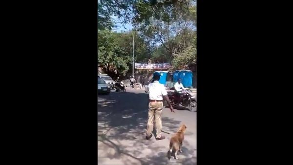 Adorable clearing the road for a very important “pedestrian” Love this cop! - Sputnik International