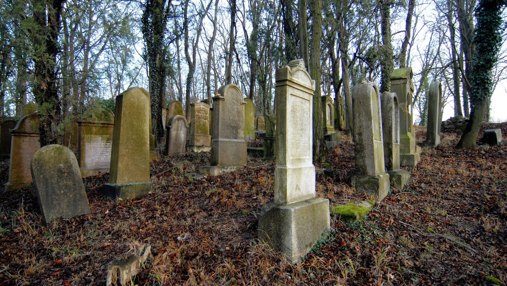 Cemetery Cemetery - Sputnik International, 1920, 26.04.2021