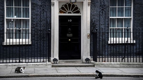 Larry the Downing Street cat and Palmerston the Foreign Office cat square off outside the British Prime Minister's official residence, 10 Downing Street Larry the Downing Street cat and Palmerston the Foreign Office cat square off outside the British Prime Minister's official residence, 10 Downing Street - Sputnik International