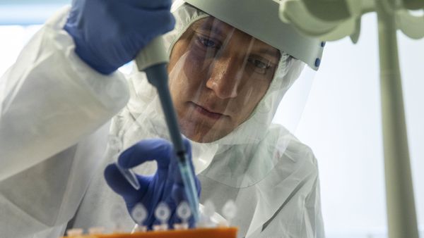  In this file photo dated Friday, Aug. 7, 2020, a medical worker performs a COVID-19 test at a test centre at Vnukovo airport outside Moscow, Russia - Sputnik International