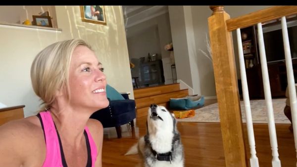 Silly Husky Sings Along to Classic ‘90s Song - Sputnik International