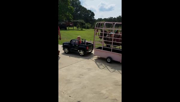 US Toddler Tows Mini Horse With Electric Car - Sputnik International