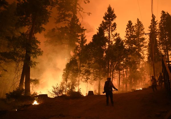 Firefighters try to extinguish forest fires at Shaver Lake, Sierra National Forest, California Firefighters try to extinguish forest fires at Shaver Lake, Sierra National Forest, California - Sputnik International