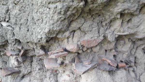 Pottery, Bones Believed to be from Harappan Civilisation Found in India - Sputnik International