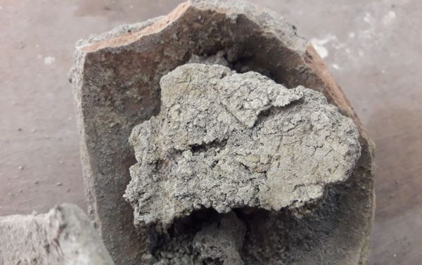 Pottery, Bones Believed to be from Harappan Civilisation Found in India - Sputnik International