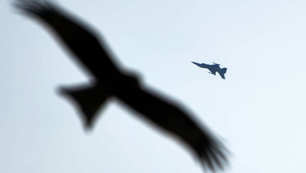 A Pakistani F-16 fighter makes a manoeuvre before crashing during a rehearsal ahead of Pakistan Day military parade in Islamabad on March 11, 2020 - Sputnik International
