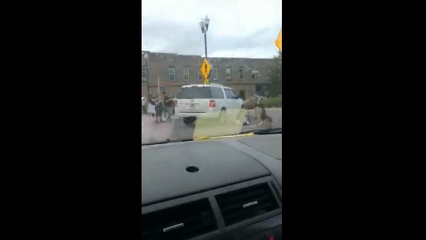 TW/CW: graphic violence Tonight at a peaceful protest for #BlackLivesMatter a car brutally ran over a photographer and a crowd of protesters who were lawfully in a crosswalk. This was in Johnson City at the crosswalk on State of Franklin near Southern Craft - Sputnik International