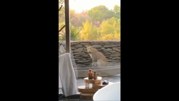 Sometimes we're so blessed to have a wonderful visitor for breakfast  - Sputnik International