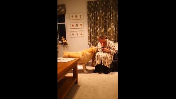 Telling mummy it's time to stop working and come to bed with me - Sputnik International