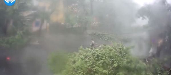 A motorcyclist walks away from a fallen tree during tropical storm Noul in Hue, Vietnam September 18, 2020, in this still image from a social media video - Sputnik International