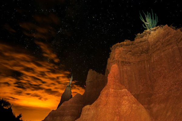 Wish Upon a Star: Best Places to Enjoy Starry Nights Wish Upon a Star: Best Places to Enjoy Starry Nights - Sputnik International