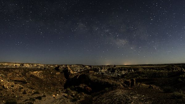 Starry sky over Petrified Forest National Park in Arizona - Sputnik International