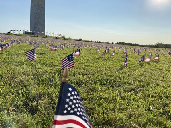 ‘They Deserved Better’: DC National Mall Covered in US Flags in Memory of COVID-19 Deaths - Photos ‘They Deserved Better’: DC National Mall Covered in US Flags in Memory of COVID-19 Deaths - Photos - Sputnik International