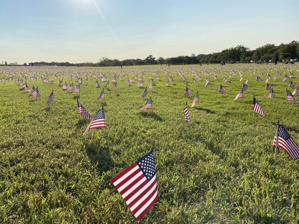 ‘They Deserved Better’: DC National Mall Covered in US Flags in Memory of COVID-19 Deaths - Photos ‘They Deserved Better’: DC National Mall Covered in US Flags in Memory of COVID-19 Deaths - Photos - Sputnik International