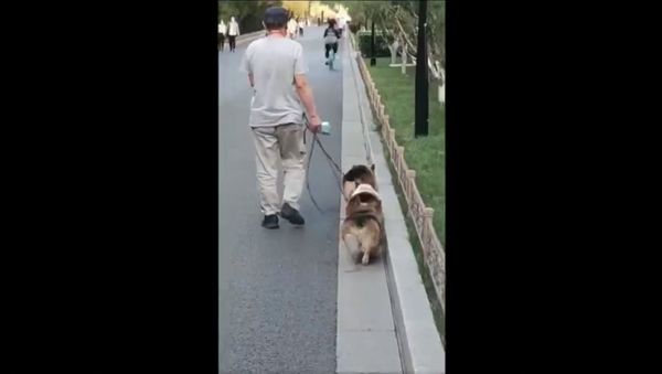 Wiggle in the same line - Sputnik International