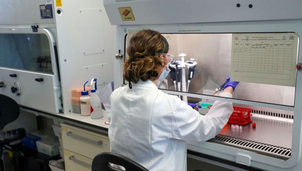 A scientist works during the visit of Britain's William, Duke of Cambridge, to the manufacturing laboratory where a vaccine against the coronavirus disease (COVID-19) has been produced at the Oxford Vaccine Group's facility at the Churchill Hospital in Oxford, Britain, 24 June 2020 A scientist works during the visit of Britain's William, Duke of Cambridge, to the manufacturing laboratory where a vaccine against the coronavirus disease (COVID-19) has been produced at the Oxford Vaccine Group's facility at the Churchill Hospital in Oxford, Britain, 24 June 2020 - Sputnik International