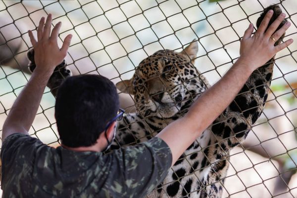 This Week in Pictures: 19 - 25 September - Sputnik International
