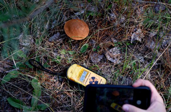 Radioactive Excursion: Tourists Explore Chernobyl Exclusion Zone - Sputnik International