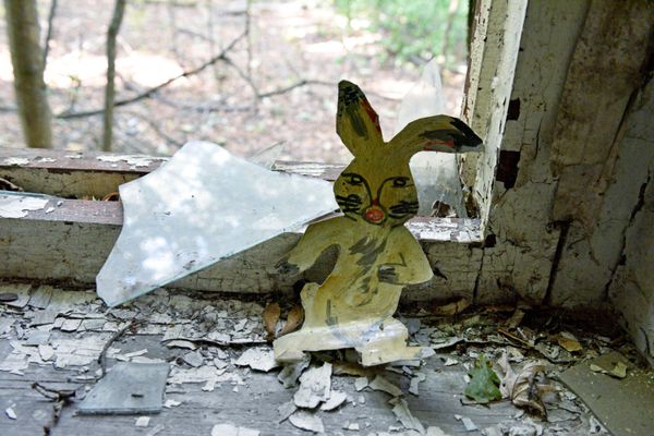 Radioactive Excursion: Tourists Explore Chernobyl Exclusion Zone - Sputnik International