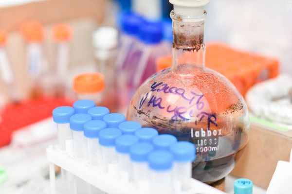 Scientists Come Up With Method to Reduce Secondary Inflammation in COVID-19 Scientists Come Up With Method to Reduce Secondary Inflammation in COVID-19 - Sputnik International