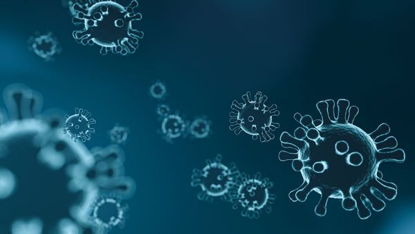 Virus particles - Sputnik International