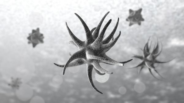Microbes - Sputnik International