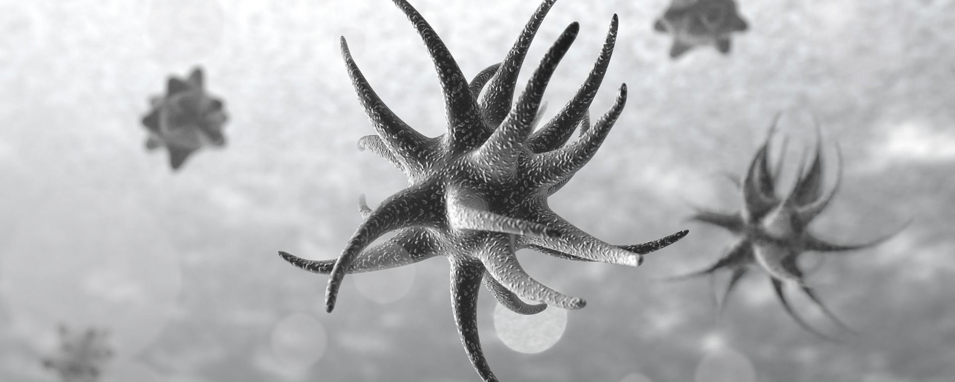 Microbes - Sputnik International, 1920, 29.09.2020