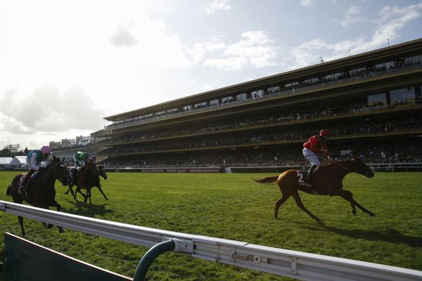 The Sputnik Intelligent Punter's Guide To Champions Day & Football Predictions - Sputnik International