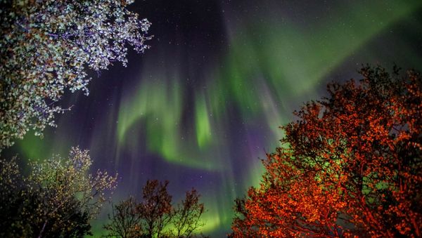 Northern Lights in Murmansk Region - Sputnik International