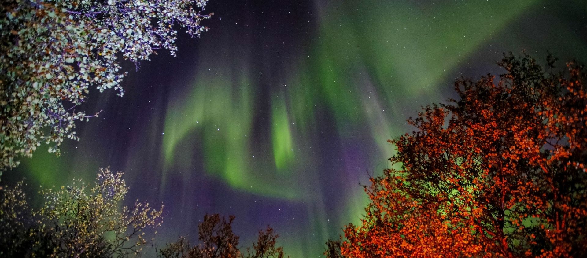 Northern Lights in Murmansk Region - Sputnik International, 1920, 04.10.2020