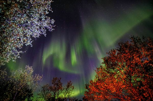 Northern Lights in Murmansk Region - Sputnik International