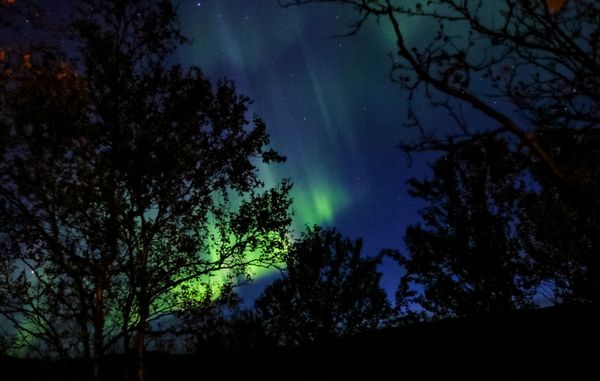 Northern Lights in Murmansk Region - Sputnik International