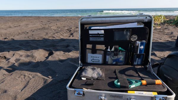 Police check information on water pollution and death of marine animals in Kamchatka - Sputnik International