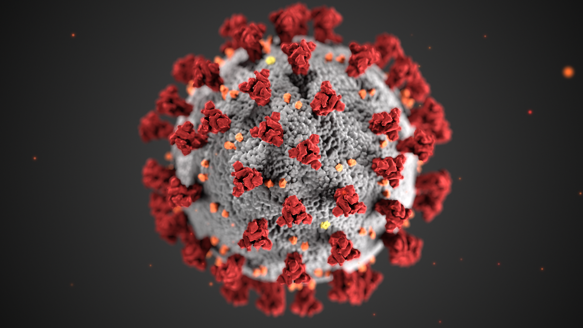 This illustration, created at the Centers for Disease Control and Prevention (CDC), reveals ultrastructural morphology exhibited by coronaviruses. Note the spikes that adorn the outer surface of the virus, which impart the look of a corona surrounding the virion, when viewed electron microscopically. A novel coronavirus, named Severe Acute Respiratory Syndrome coronavirus 2 (SARS-CoV-2), was identified as the cause of an outbreak of respiratory illness first detected in Wuhan, China in 2019. The illness caused by this virus has been named coronavirus disease 2019 (COVID-19). This illustration, created at the Centers for Disease Control and Prevention (CDC), reveals ultrastructural morphology exhibited by coronaviruses. Note the spikes that adorn the outer surface of the virus, which impart the look of a corona surrounding the virion, when viewed electron microscopically. A novel coronavirus, named Severe Acute Respiratory Syndrome coronavirus 2 (SARS-CoV-2), was identified as the cause of an outbreak of respiratory illness first detected in Wuhan, China in 2019. The illness caused by this virus has been named coronavirus disease 2019 (COVID-19). - Sputnik International, 1920, 29.05.2021